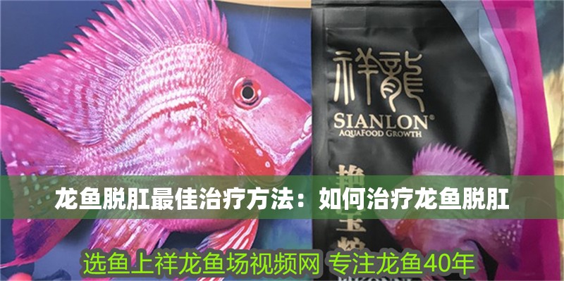 龍魚(yú)脫肛最佳治療方法：如何治療龍魚(yú)脫肛 龍魚(yú)脫肛最佳治療方法：如何治療龍魚(yú)脫肛 龍魚(yú)百科