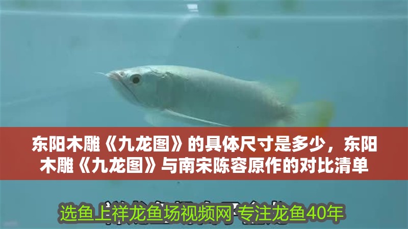 詳細閱讀:東陽木雕《九龍圖》的具體尺寸是多少,東陽木雕《九龍圖》與南宋陳容原作的對比清單 東陽木雕《九龍圖》的具體尺寸是多少,東陽木雕《九龍圖》與南宋陳容原作的對比清單