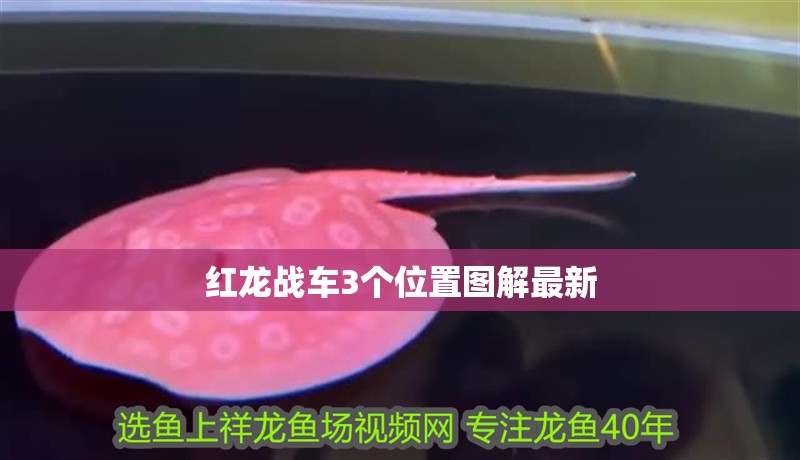 紅龍戰車3個位置圖解最新