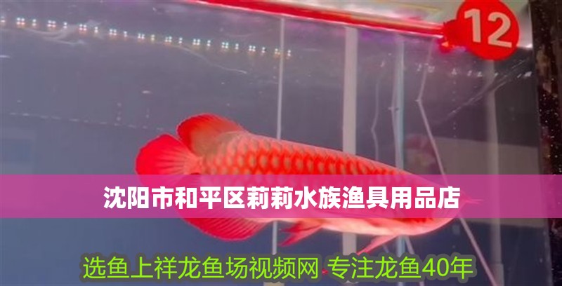 沈陽市和平區莉莉水族漁具用品店