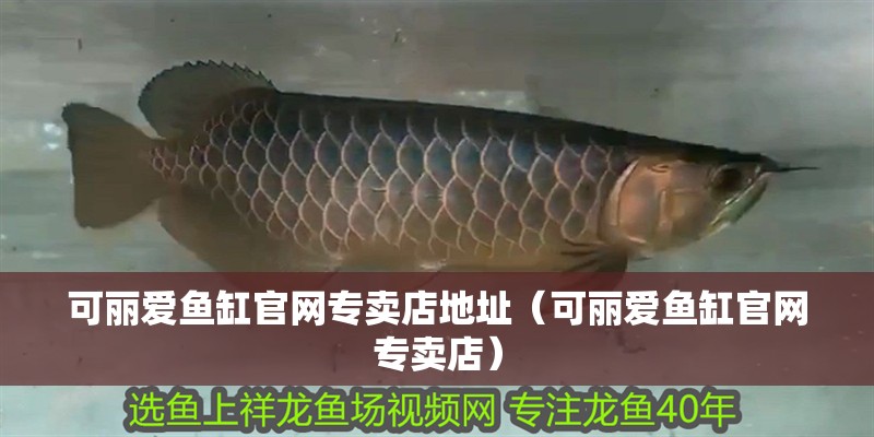 可麗愛魚缸官網專賣店地址（可麗愛魚缸官網專賣店）