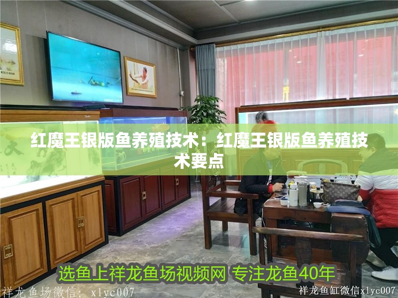 紅魔王銀版魚養(yǎng)殖技術(shù)：紅魔王銀版魚養(yǎng)殖技術(shù)要點(diǎn)