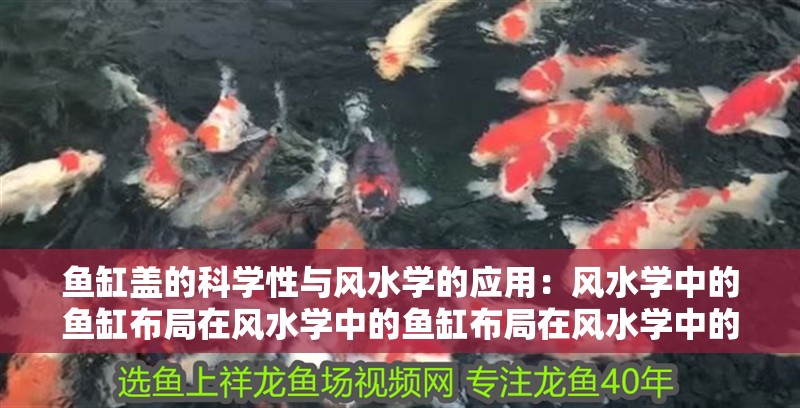 魚缸蓋的科學(xué)性與風(fēng)水學(xué)的應(yīng)用：風(fēng)水學(xué)中的魚缸布局在風(fēng)水學(xué)中的魚缸布局在風(fēng)水學(xué)中的原則 魚缸蓋的科學(xué)性與風(fēng)水學(xué)的應(yīng)用：風(fēng)水學(xué)中的魚缸布局在風(fēng)水學(xué)中的魚缸布局在風(fēng)水學(xué)中的原則 魚缸百科