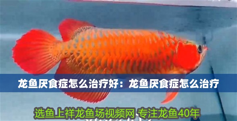 龍魚厭食癥怎么治療好：龍魚厭食癥怎么治療 龍魚厭食癥怎么治療好：龍魚厭食癥怎么治療 龍魚百科