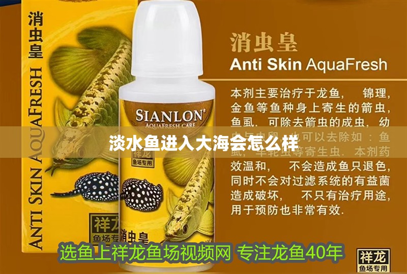 淡水魚進入大海會怎么樣