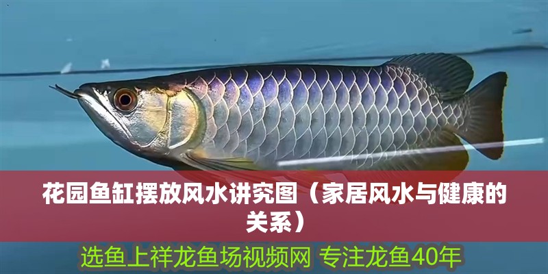 花園魚缸擺放風(fēng)水講究圖（家居風(fēng)水與健康的關(guān)系）