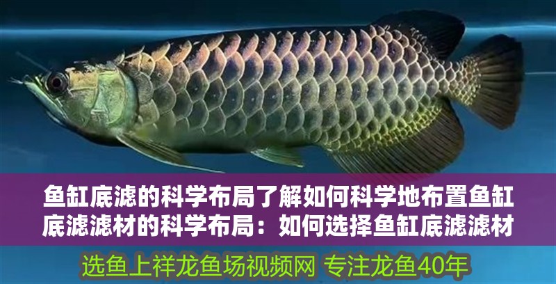 魚缸底濾的科學布局了解如何科學地布置魚缸底濾濾材的科學布局：如何選擇魚缸底濾濾材