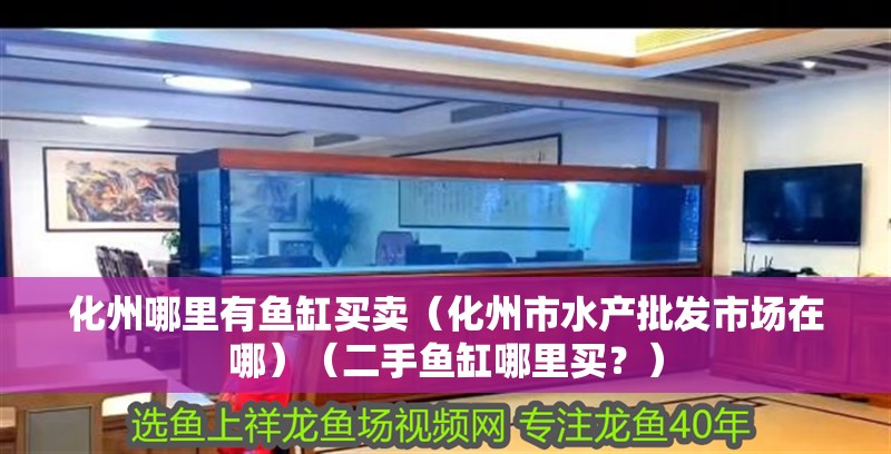 化州哪里有魚缸買賣（化州市水產批發市場在哪）（二手魚缸哪里買？）