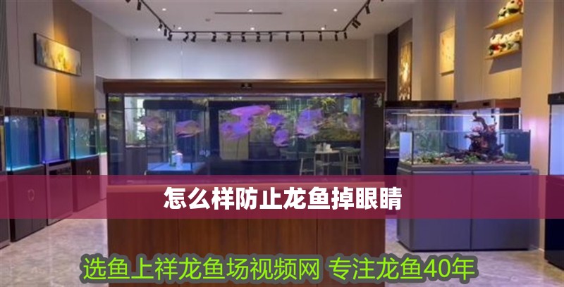 怎么樣防止龍魚掉眼睛