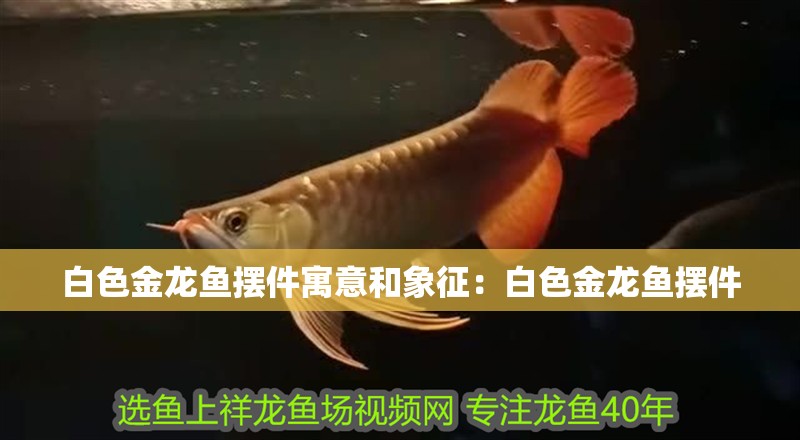 白色金龍魚擺件寓意和象征：白色金龍魚擺件