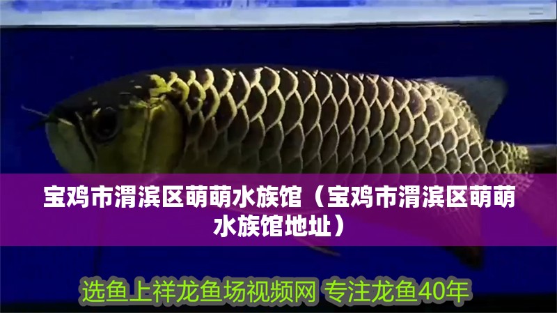 寶雞市渭濱區萌萌水族館（寶雞市渭濱區萌萌水族館地址）