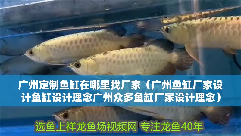 廣州定制魚缸在哪里找廠家（廣州魚缸廠家設(shè)計(jì)魚缸設(shè)計(jì)理念廣州眾多魚缸廠家設(shè)計(jì)理念）