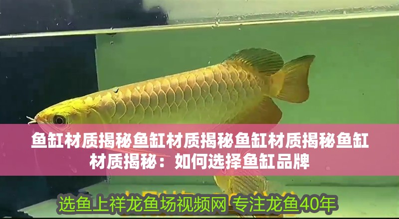 魚缸材質揭秘魚缸材質揭秘魚缸材質揭秘魚缸材質揭秘：如何選擇魚缸品牌