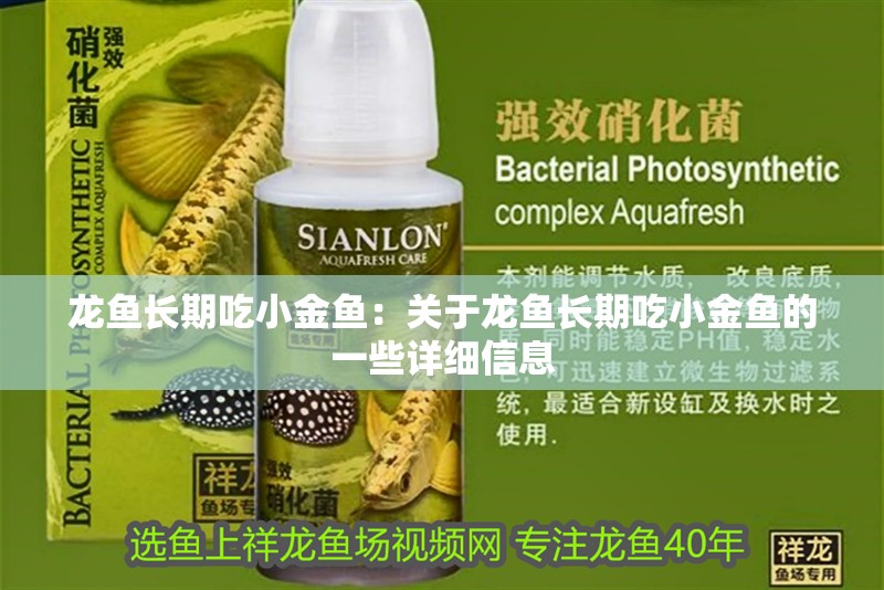龍魚(yú)長(zhǎng)期吃小金魚(yú)：關(guān)于龍魚(yú)長(zhǎng)期吃小金魚(yú)的一些詳細(xì)信息