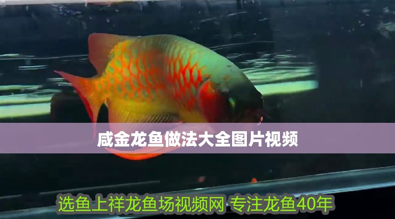 咸金龍魚做法大全圖片視頻