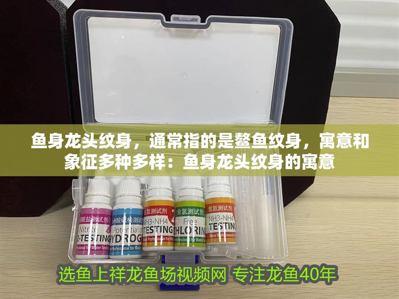 魚身龍頭紋身，通常指的是鰲魚紋身，寓意和象征多種多樣：魚身龍頭紋身的寓意