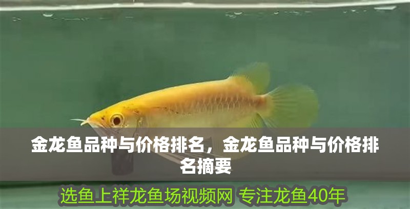 金龍魚品種與價格排名，金龍魚品種與價格排名摘要