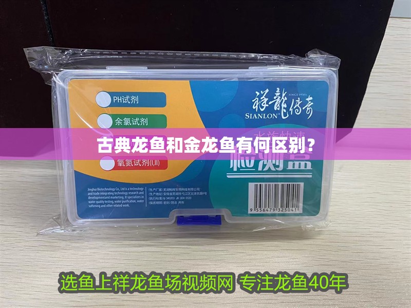 古典龍魚和金龍魚有何區別？