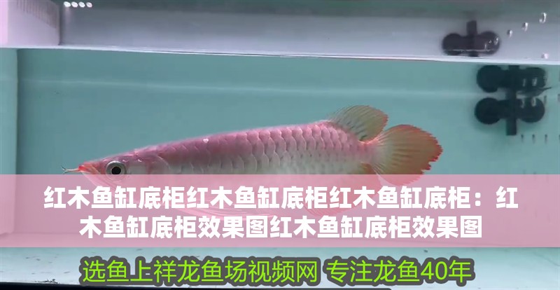 紅木魚缸底柜紅木魚缸底柜紅木魚缸底柜：紅木魚缸底柜效果圖紅木魚缸底柜效果圖