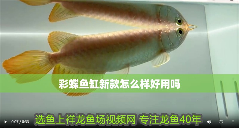 彩蝶魚缸新款怎么樣好用嗎