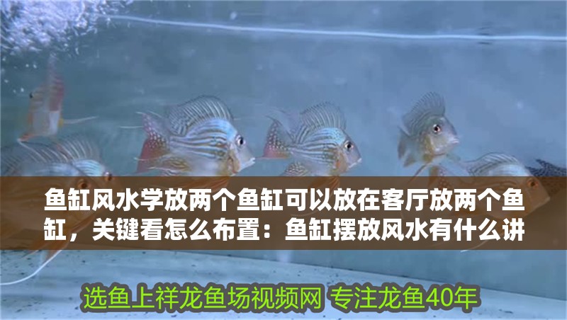 魚缸風水學放兩個魚缸可以放在客廳放兩個魚缸，關鍵看怎么布置：魚缸擺放風水有什么講究 魚缸風水學放兩個魚缸可以放在客廳放兩個魚缸，關鍵看怎么布置：魚缸擺放風水有什么講究 魚缸百科