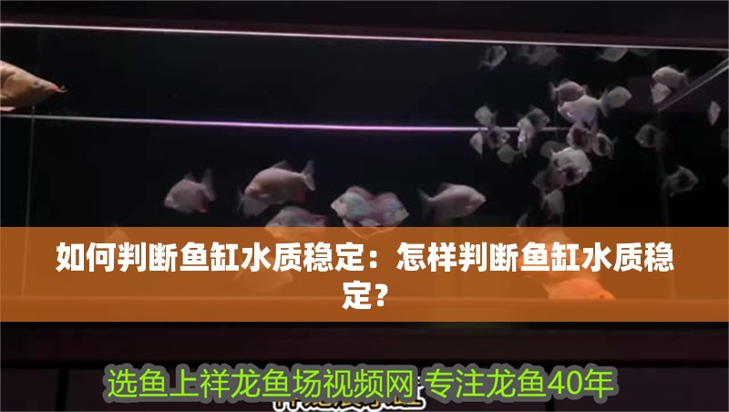 如何判斷魚缸水質穩定：怎樣判斷魚缸水質穩定？