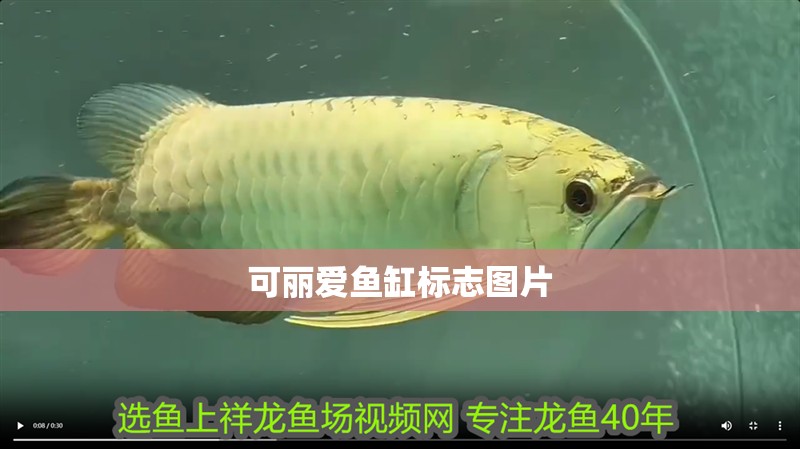 可麗愛魚缸標志圖片