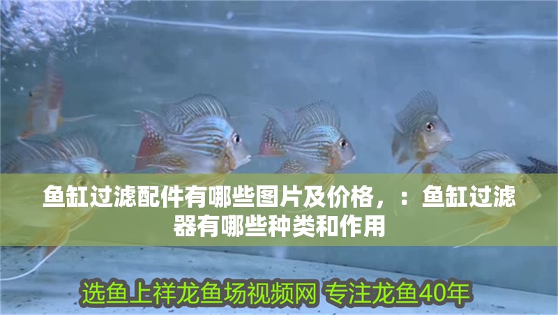 魚缸過濾配件有哪些圖片及價(jià)格，：魚缸過濾器有哪些種類和作用