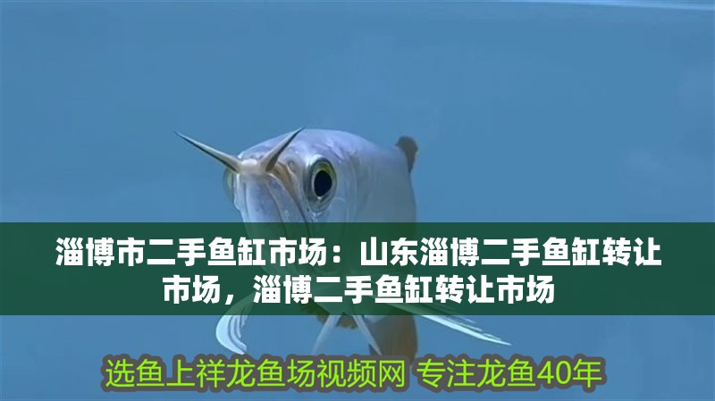 淄博市二手魚缸市場：山東淄博二手魚缸轉讓市場，淄博二手魚缸轉讓市場
