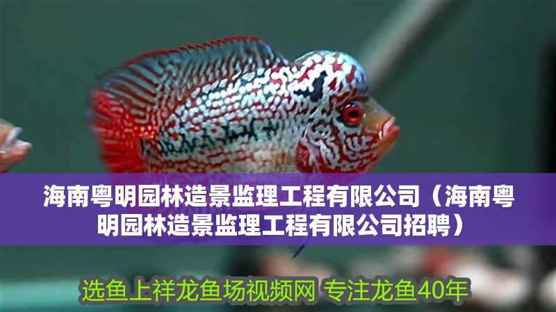 海南粵明園林造景監(jiān)理工程有限公司（海南粵明園林造景監(jiān)理工程有限公司招聘）
