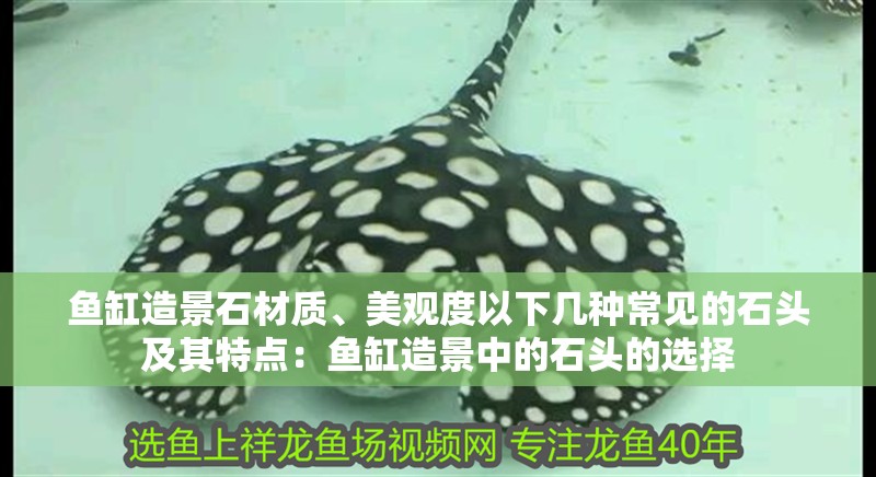 魚缸造景石材質(zhì)、美觀度以下幾種常見的石頭及其特點：魚缸造景中的石頭的選擇