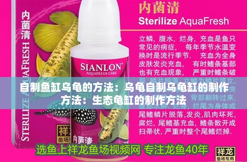 自制魚缸烏龜?shù)姆椒ǎ簽觚斪灾茷觚敻椎闹谱鞣椒ǎ荷鷳B(tài)龜缸的制作方法