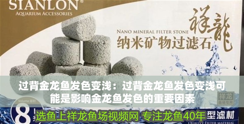 鸚鵡魚和銀龍魚混養怎樣喂食 過背金龍魚發色變淺:過背金龍魚發色變淺可能是影響金龍魚發色的重要因素 龍魚百科 過背金龍魚發色變淺:過背金龍魚發色變淺可能是影響金龍魚發色的重要因素 過背金龍魚發色變淺:過背金龍魚發色變淺可能是影響金龍魚發色的重要因素 龍魚百科