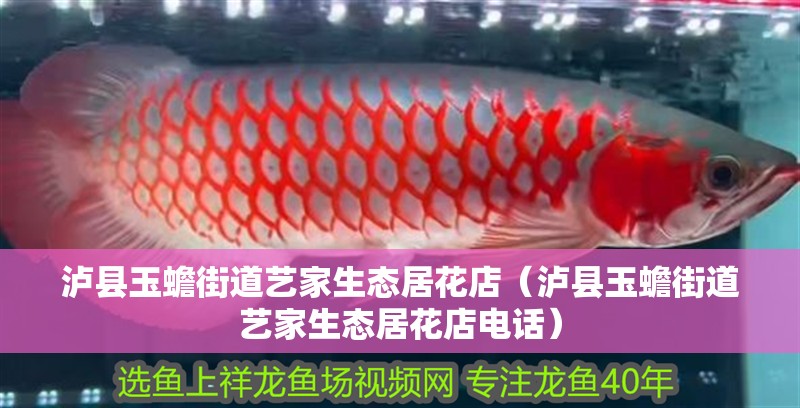 瀘縣玉蟾街道藝家生態居花店（瀘縣玉蟾街道藝家生態居花店電話）