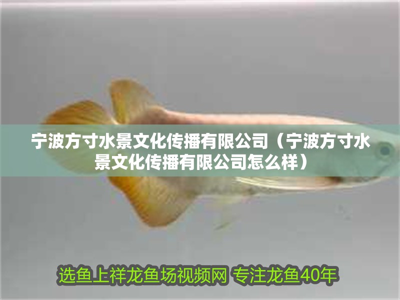 寧波方寸水景文化傳播有限公司（寧波方寸水景文化傳播有限公司怎么樣）