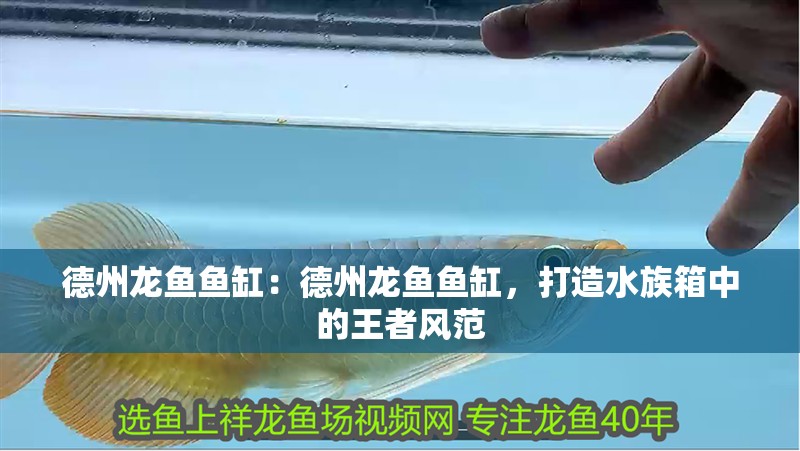 <strong><mark>德州</mark></strong>龍魚魚缸：<strong><mark>德州</mark></strong>龍魚魚缸，打造水族箱中的王者風范