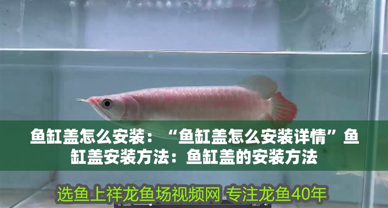 魚缸蓋怎么安裝：“魚缸蓋怎么安裝詳情”魚缸蓋安裝方法：魚缸蓋的安裝方法