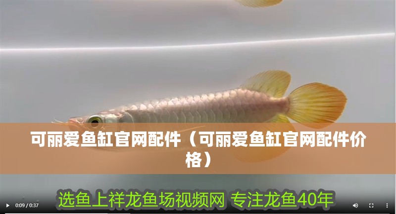 可麗愛魚缸官網配件（可麗愛魚缸官網配件價格）