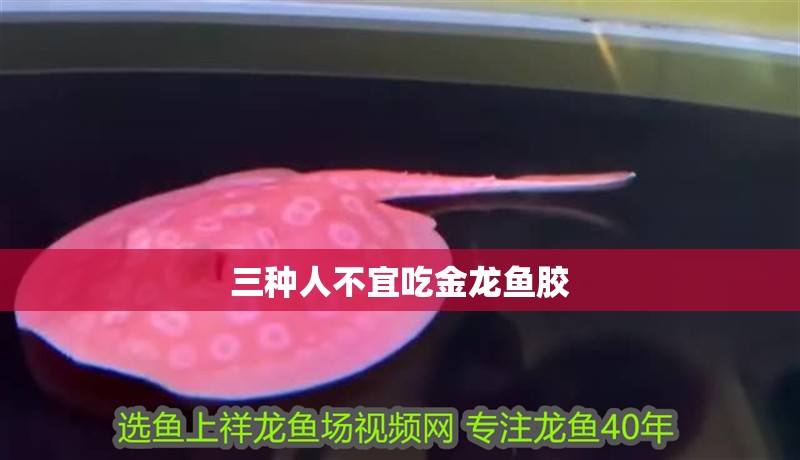 三種人不宜吃金龍魚膠
