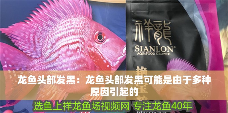 龍魚頭部發黑：龍魚頭部發黑可能是由于多種原因引起的