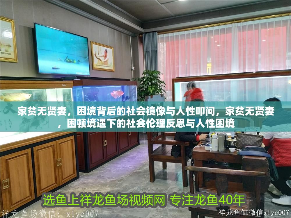 家貧無賢妻，困境背后的社會鏡像與人性叩問，家貧無賢妻，困頓境遇下的社會倫理反思與人性困境