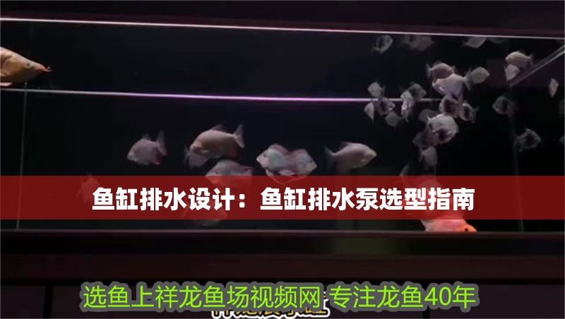 魚缸排水設計：魚缸排水泵選型指南