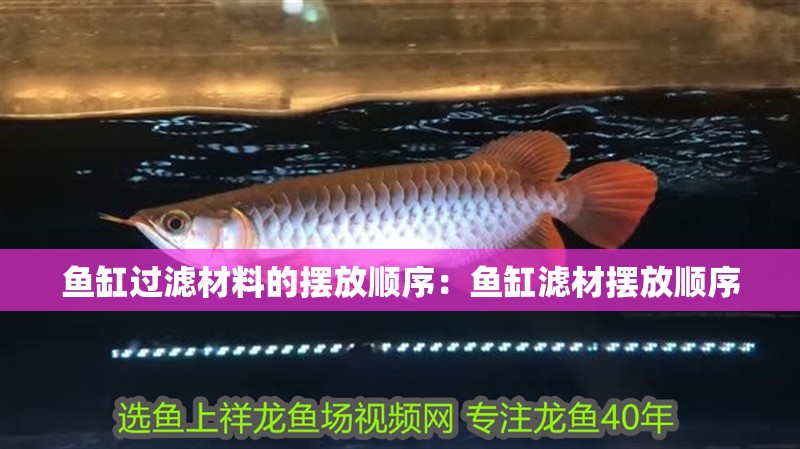 魚缸過濾材料的擺放順序：魚缸濾材擺放順序