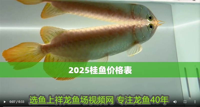 2025桂魚價格表