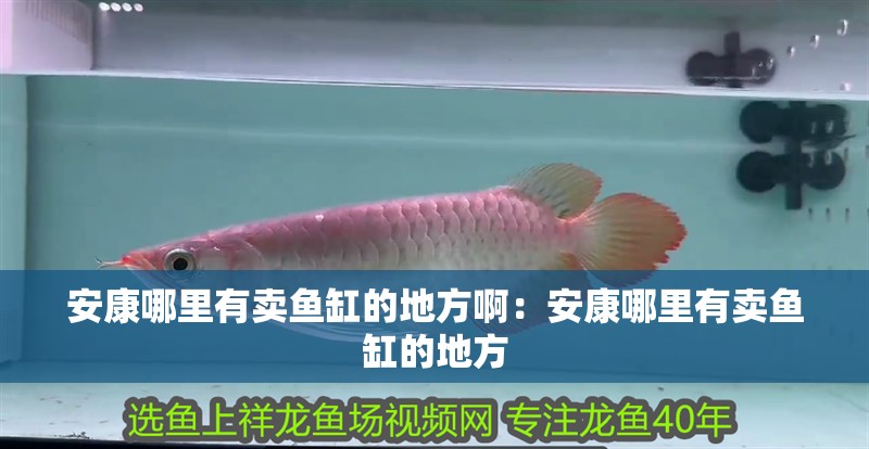 安康哪里有賣魚缸的地方啊：安康哪里有賣魚缸的地方