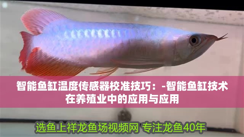 智能魚缸溫度傳感器校準技巧：-智能魚缸技術在養殖業中的應用與應用