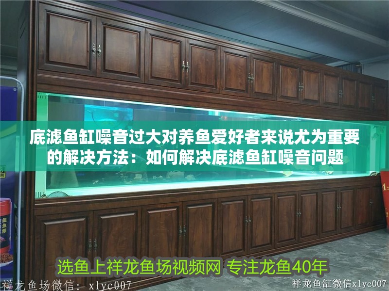 底濾魚缸噪音過大對養魚愛好者來說尤為重要的解決方法：如何解決底濾魚缸噪音問題