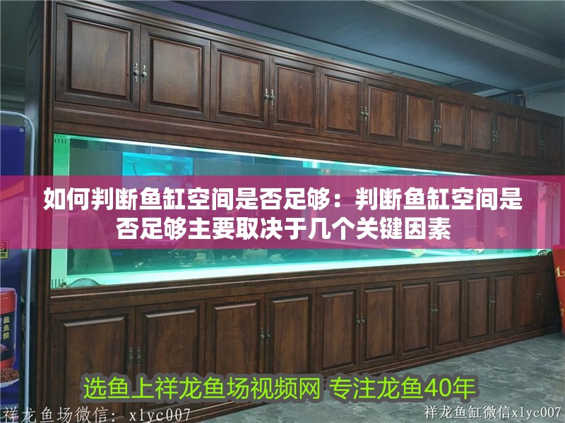 如何判斷魚缸空間是否足夠：判斷魚缸空間是否足夠主要取決于幾個關鍵因素