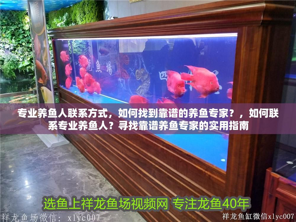 專業(yè)養(yǎng)魚人聯(lián)系方式，如何找到靠譜的養(yǎng)魚專家？，如何聯(lián)系專業(yè)養(yǎng)魚人？尋找靠譜養(yǎng)魚專家的實用指南