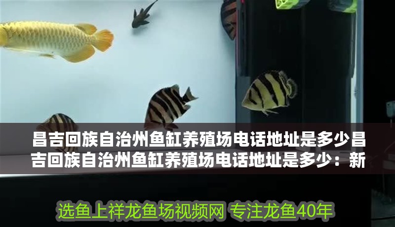 昌吉回族自治州魚缸養殖場電話地址是多少昌吉回族自治州魚缸養殖場電話地址是多少：新疆昌吉回族自治州魚缸養殖場電話地址是多少